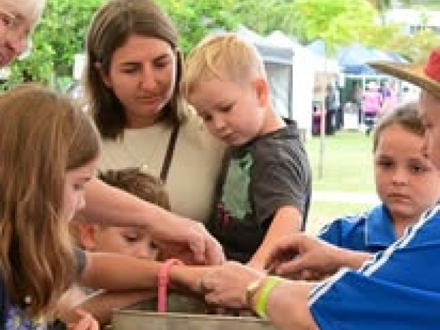 518250200_721680240727262_6041306281599093694_n